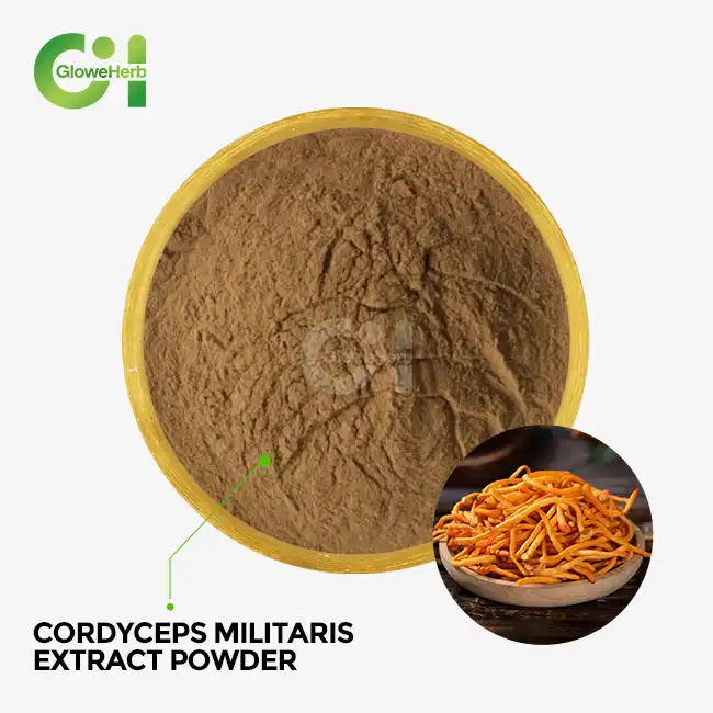 cordyceps militaris extract powder